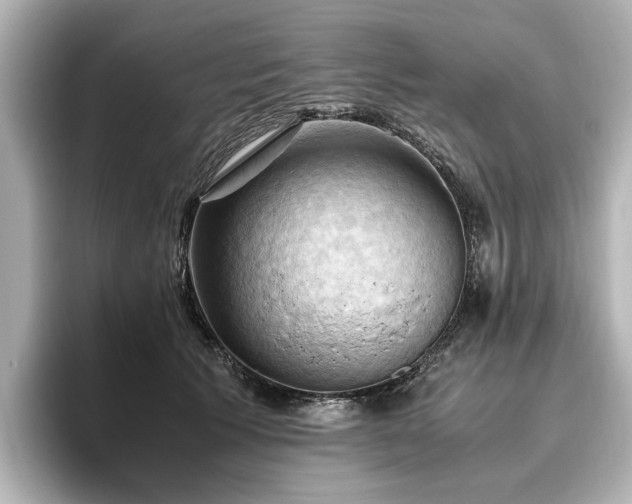 X0000096640609200802051129