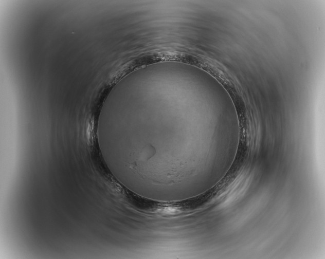 X0000096640610200802051129