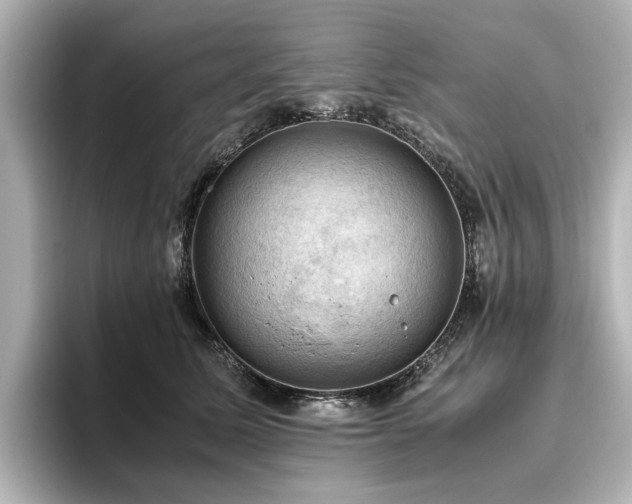 X0000096640611200802051129
