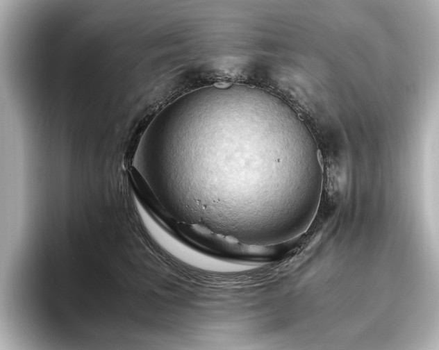 X0000096640613200802051129