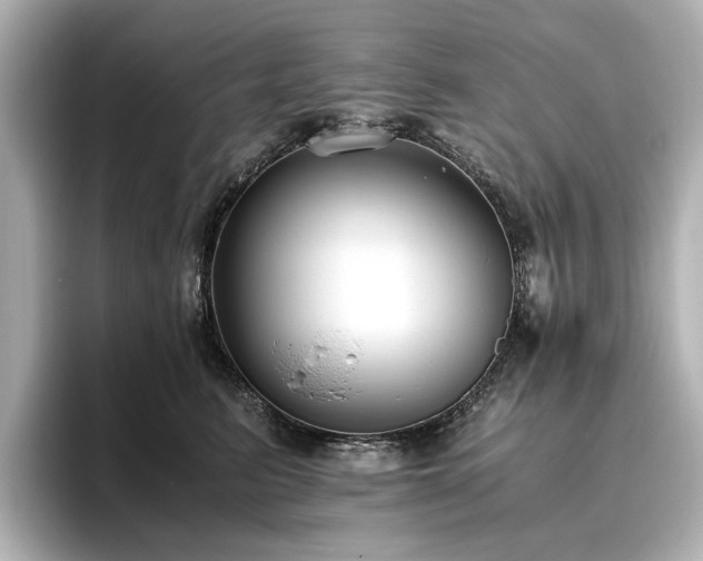 X0000096640615200802051129