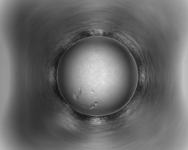 X0000096640616200802051129