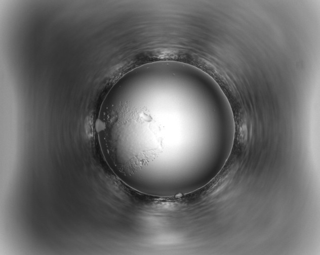 X0000096640620200802051129