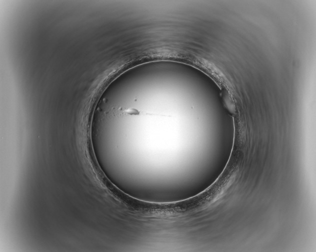 X0000096640625200802051128
