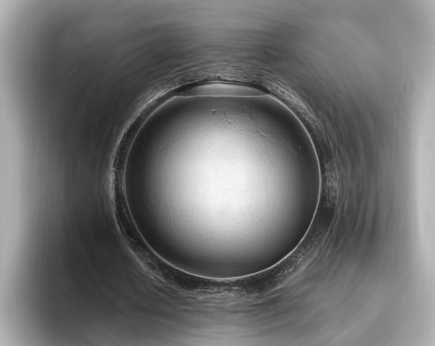 X0000096640626200802051128