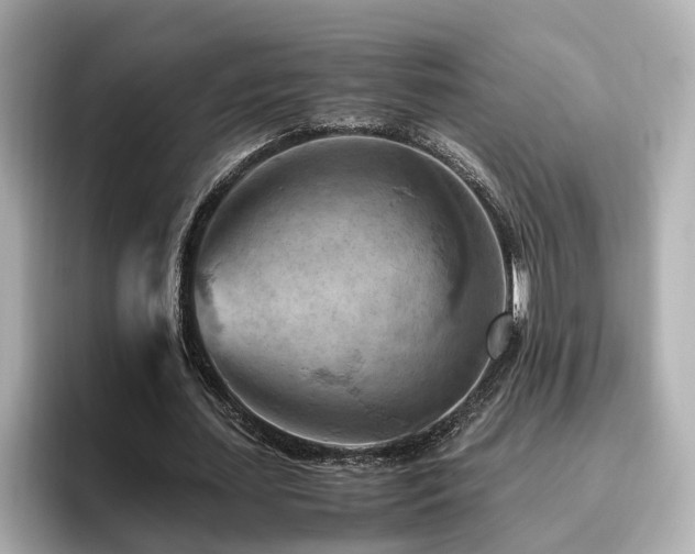 X0000096640627200802051128