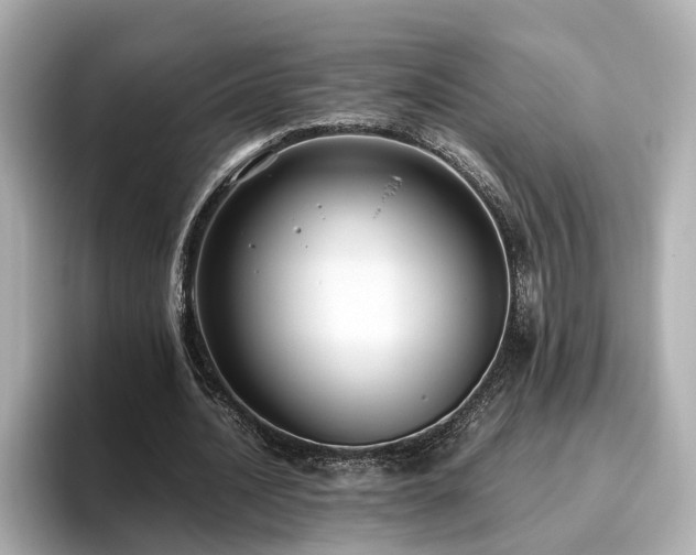 X0000096640628200802051129