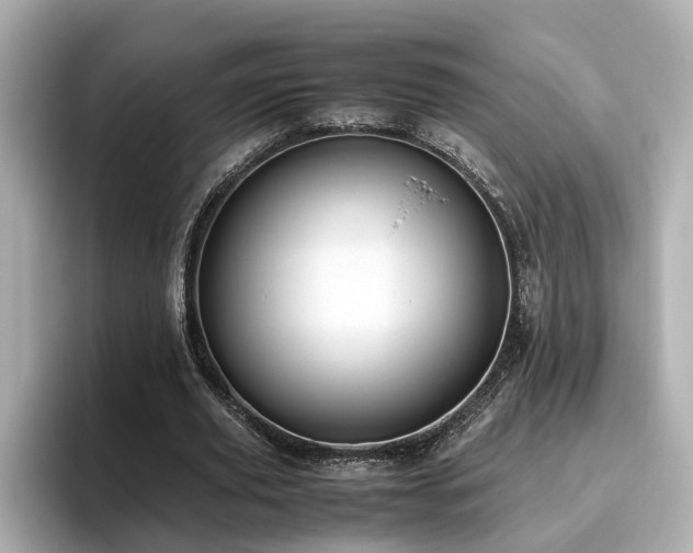 X0000096640629200802051129