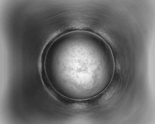 X0000096640630200802051129