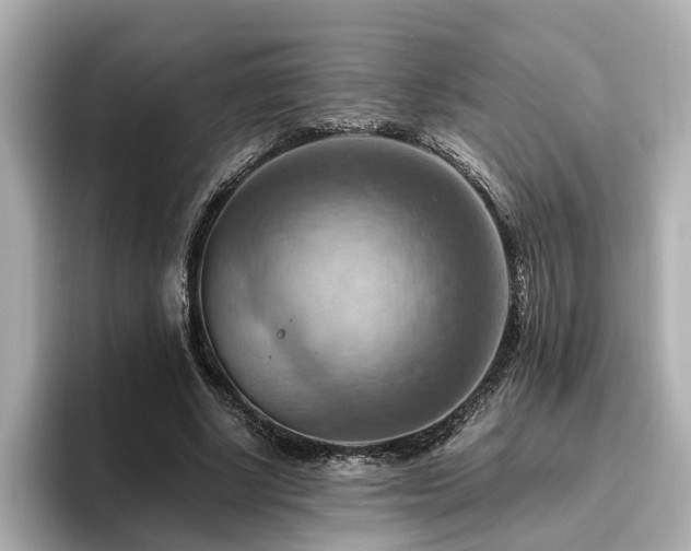 X0000096640634200802051129