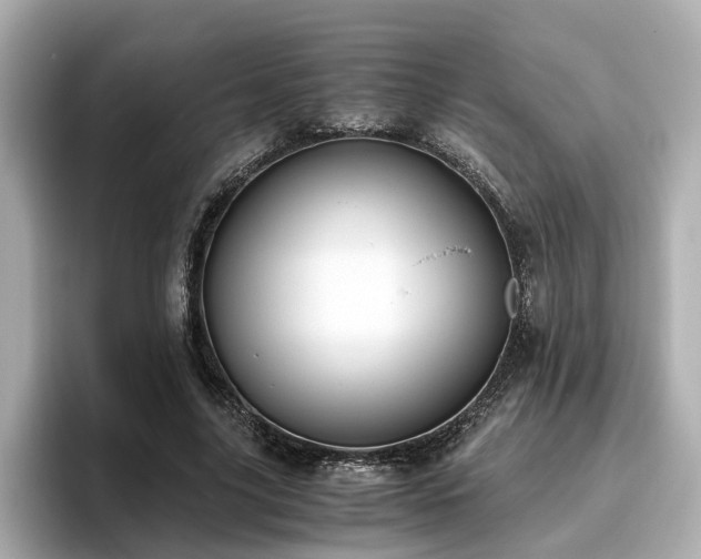 X0000096640635200802051129