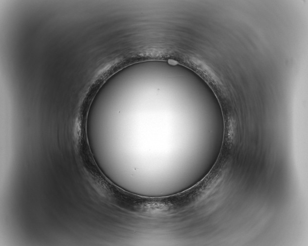 X0000096640636200802051129