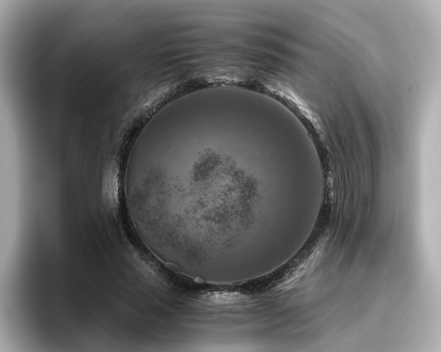 X0000096640637200802051129