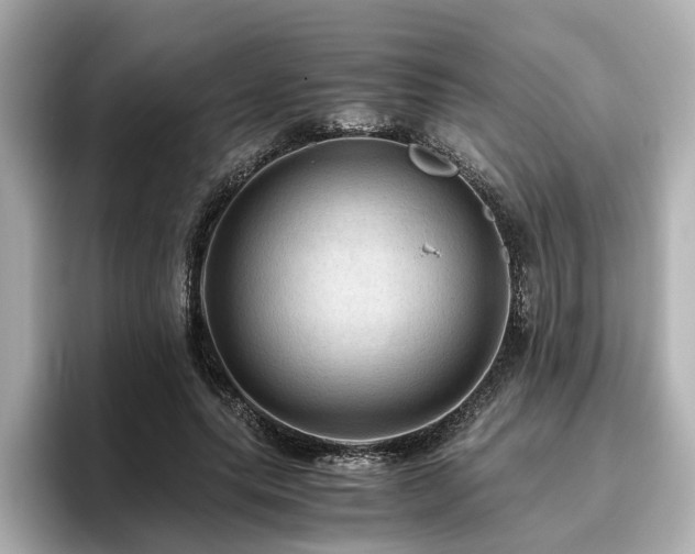 X0000096640639200802051129