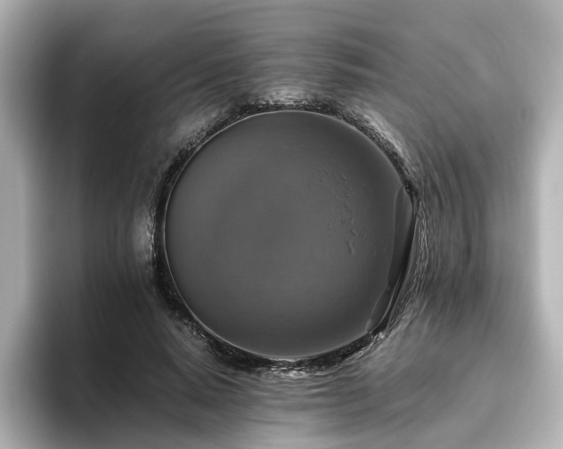 X0000096640640200802051129
