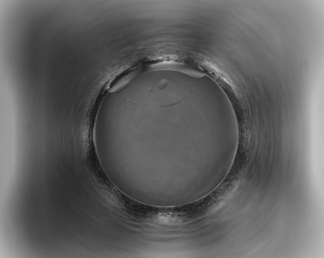 X0000096640641200802051129
