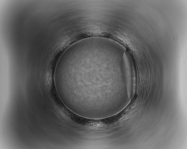 X0000096640642200802051129