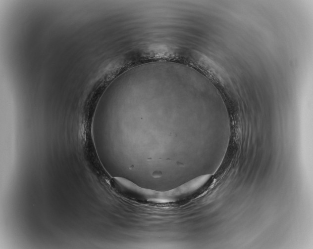 X0000096640643200802051129