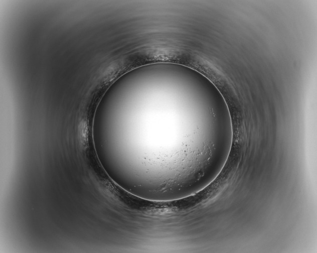 X0000096640646200802051129