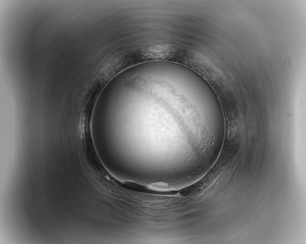 X0000096640647200802051129