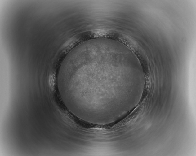 X0000096640648200802051129