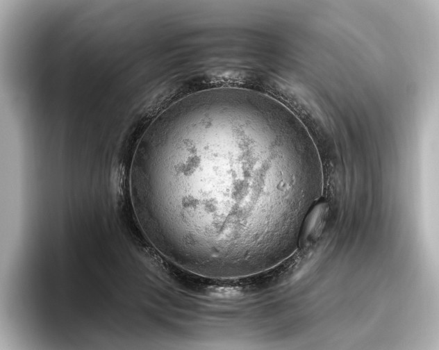 X0000096640649200802051129