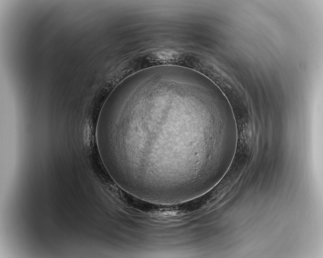 X0000096640651200802051129