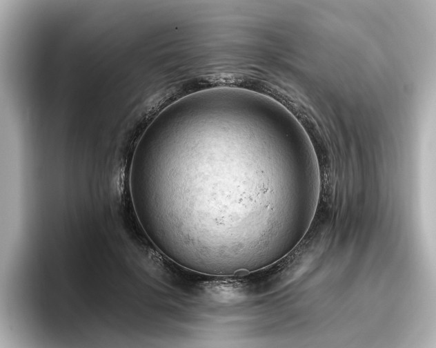X0000096640652200802051129