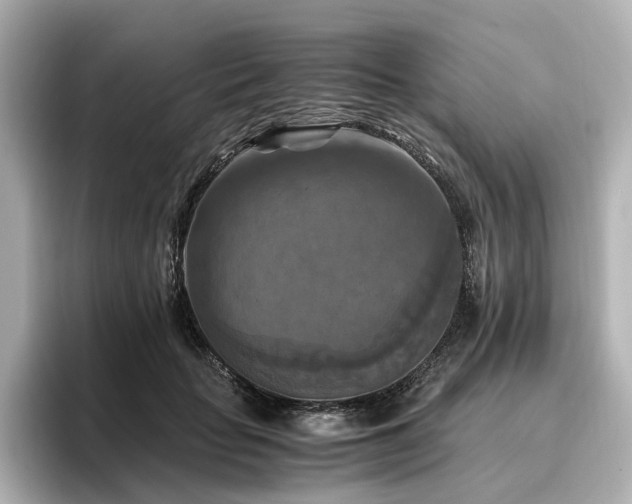 X0000096640653200802051129