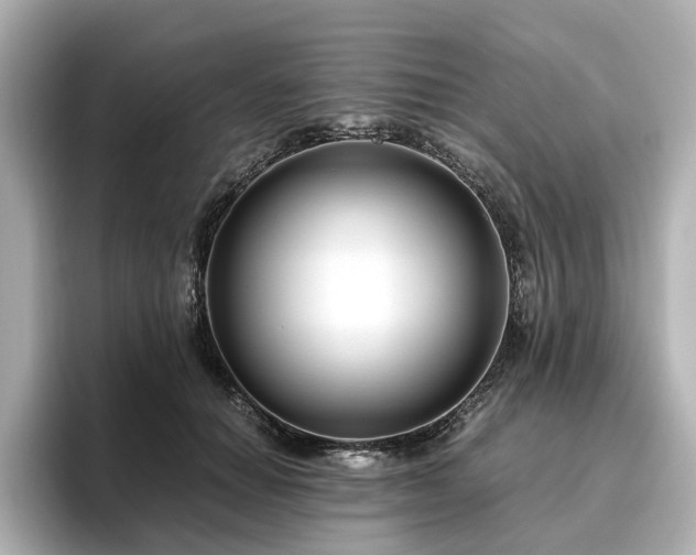 X0000096640654200802051129