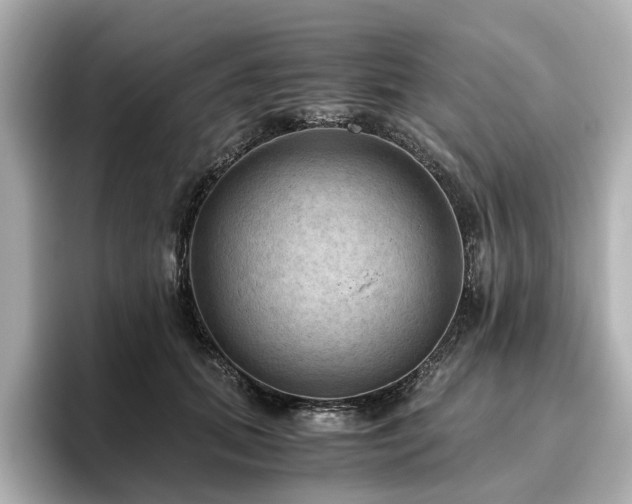 X0000096640655200802051129