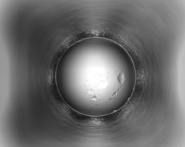 X0000096640656200802051129