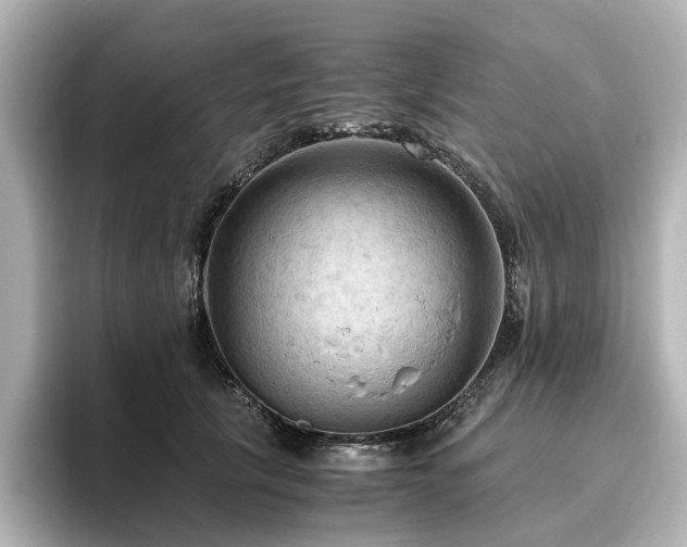 X0000096640657200802051129