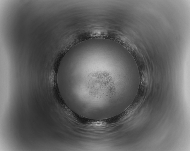 X0000096640659200802051129