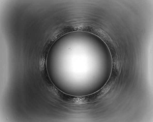 X0000096640660200802051129