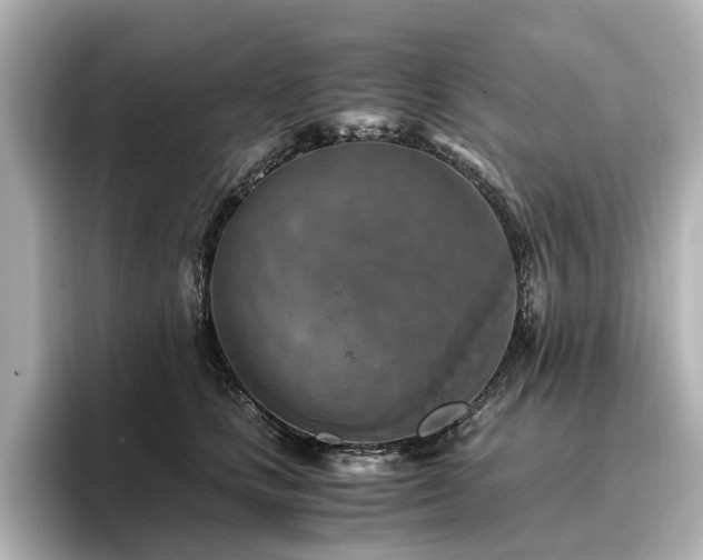 X0000096640661200802051129