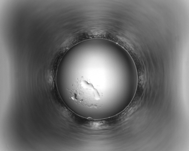 X0000096640662200802051129