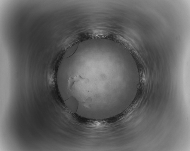 X0000096640663200802051129