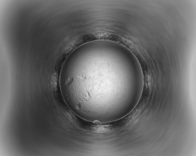 X0000096640664200802051129
