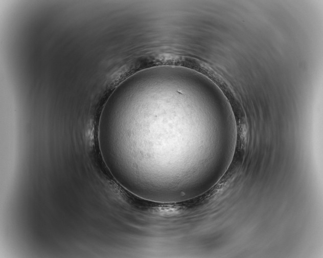 X0000096640668200802051129