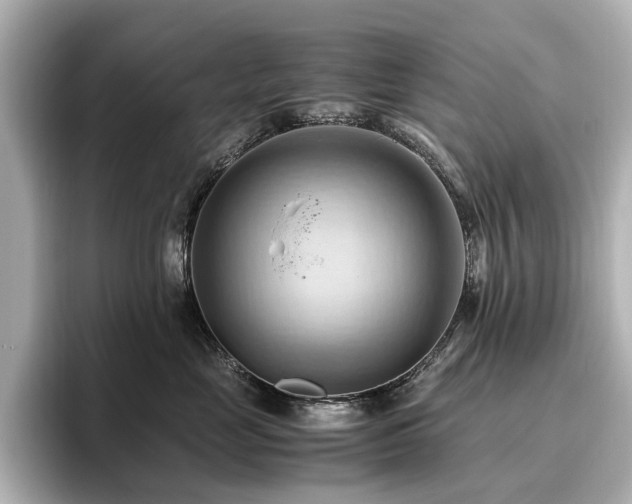 X0000096640669200802051129