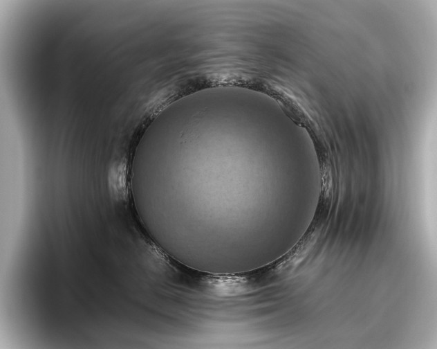X0000096640670200802051129
