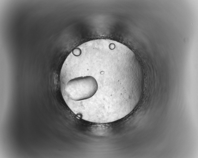 X0000096640672200802051129