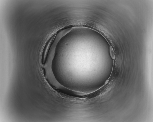 X0000096640673200802051128