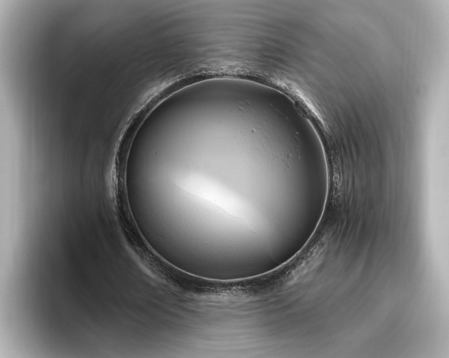 X0000096640674200802051128