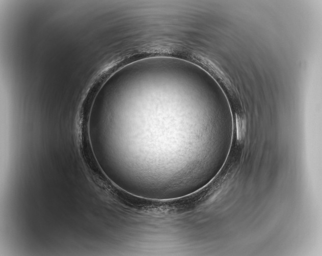 X0000096640675200802051128
