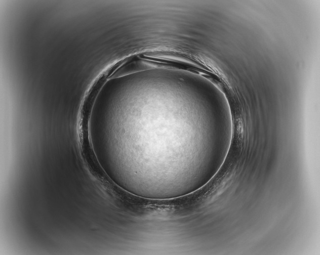 X0000096640676200802051128