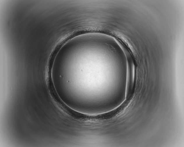 X0000096640677200802051128