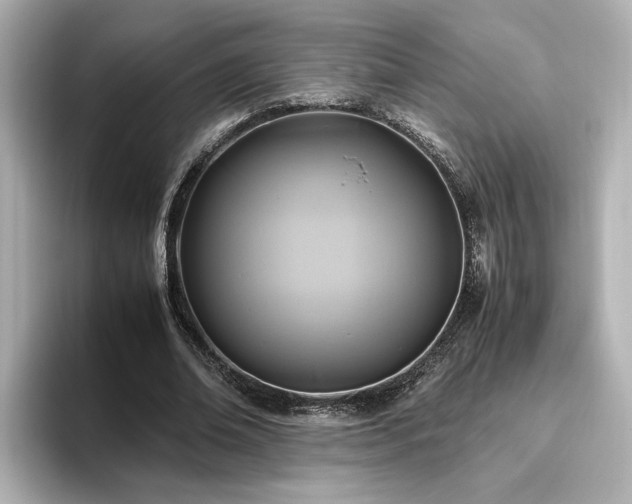 X0000096640678200802051128