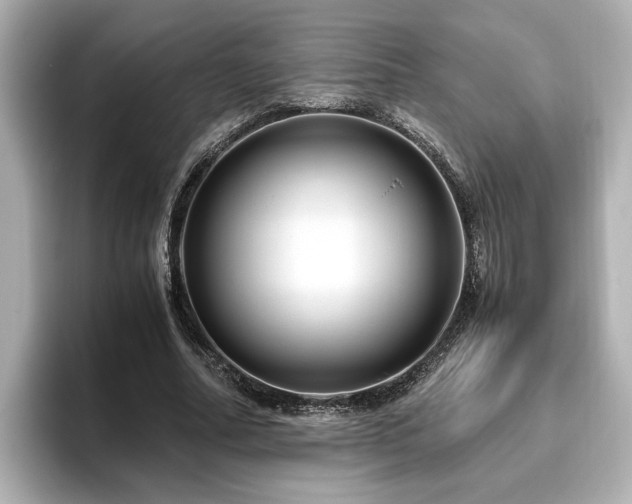 X0000096640682200802051128